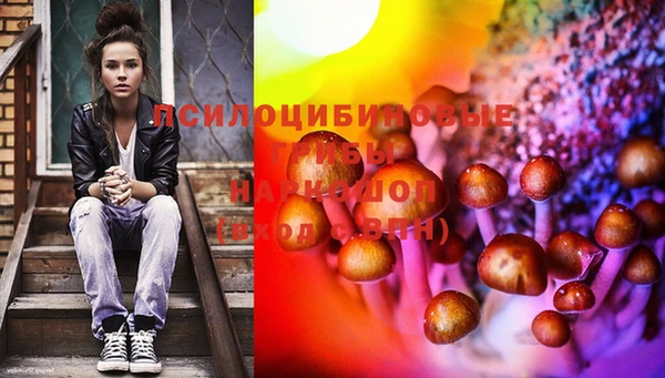 эйфоретик Рославль